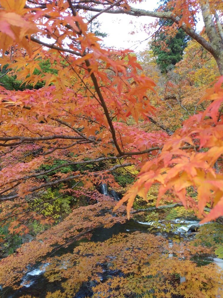 Fudo Waterfall
