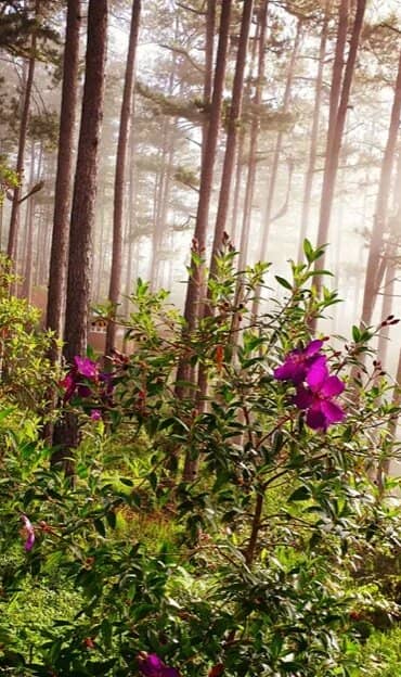 Thien Thai Waterfall