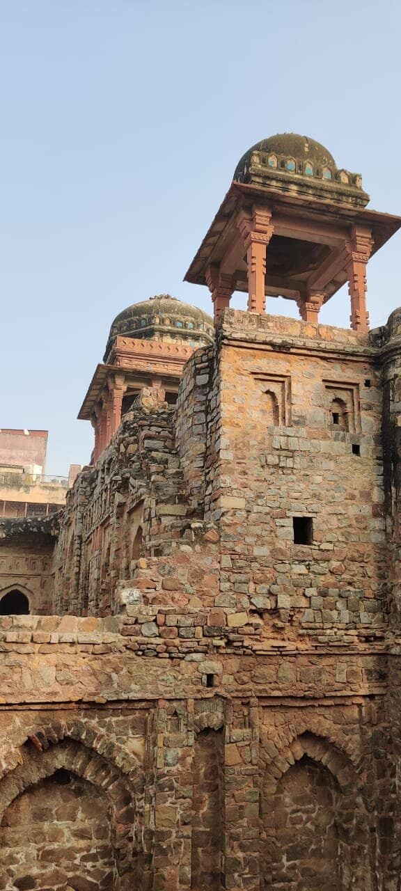 Intricate Chhatris and Domes