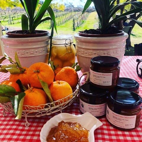 Vineyard Sunrise Views