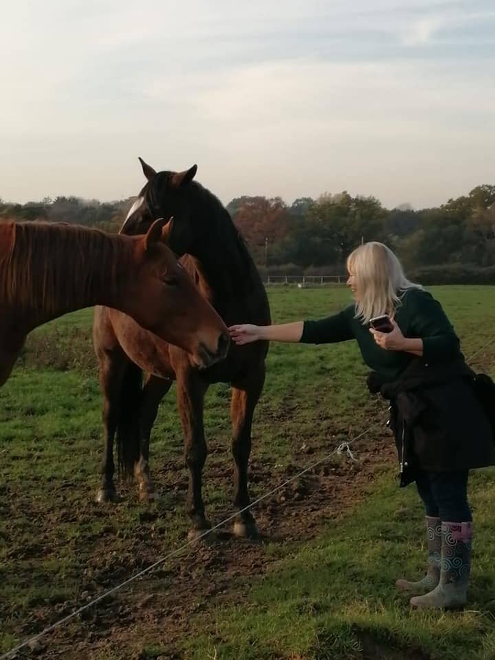 Equestrian Centre
