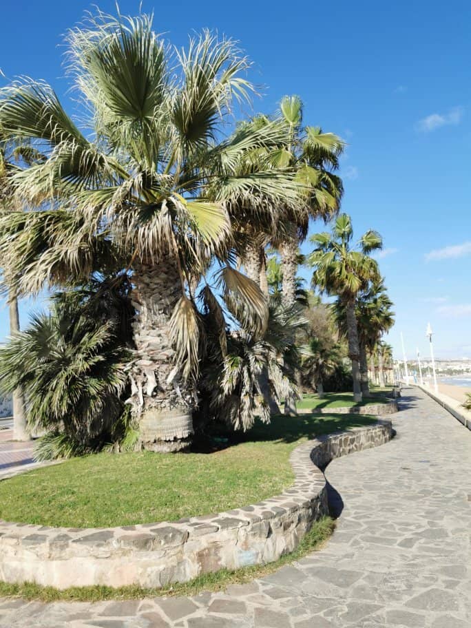 Seaside Cafes & Bars
