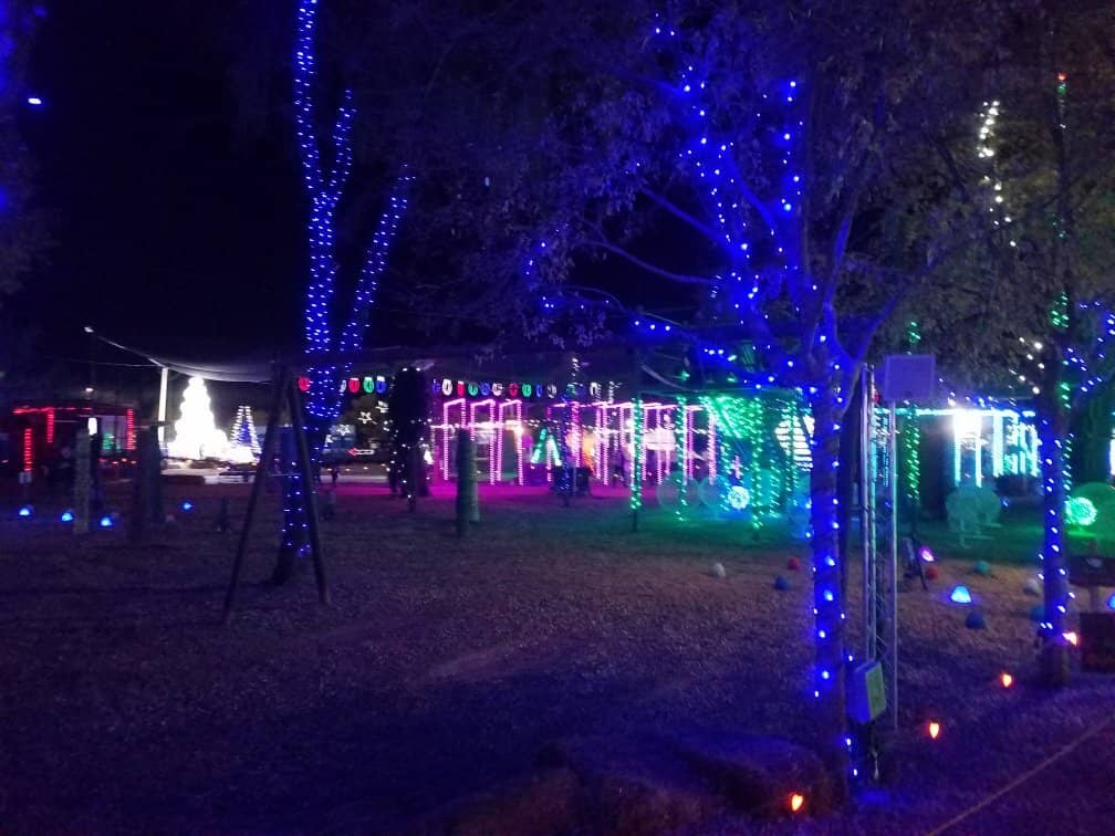 Petting Zoo & Animal Encounters