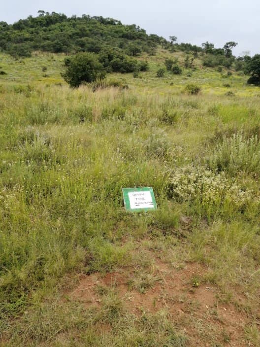 Scenic Hiking Trails
