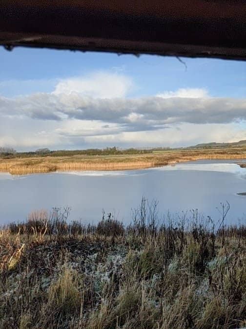 Wildlife Photography Opportunities