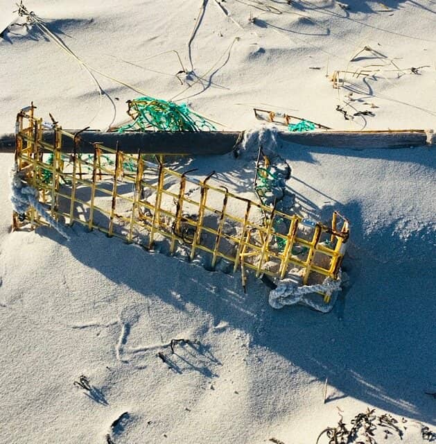 Boogie Boarding & Surfing