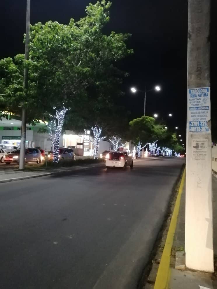 Encantos do Natal Decorations