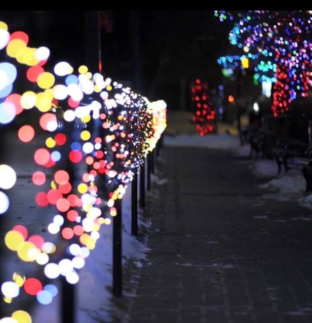 Winter Light Show