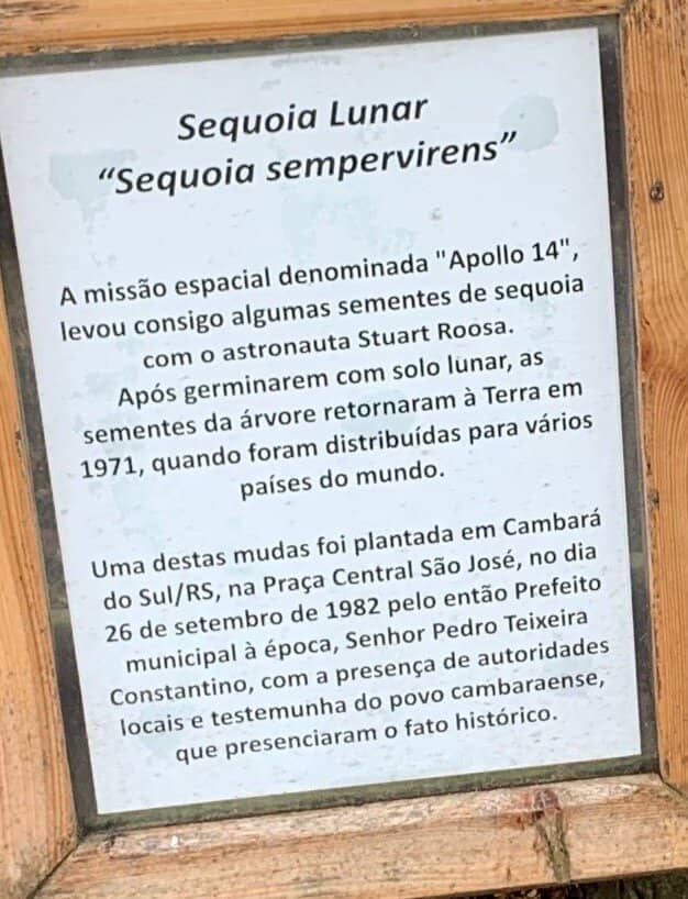 Local Religious Events