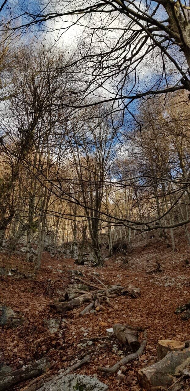 Dajti Cable Car Ride