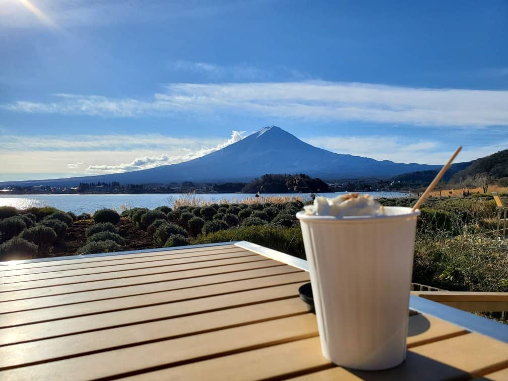 Seasonal Flower Fields