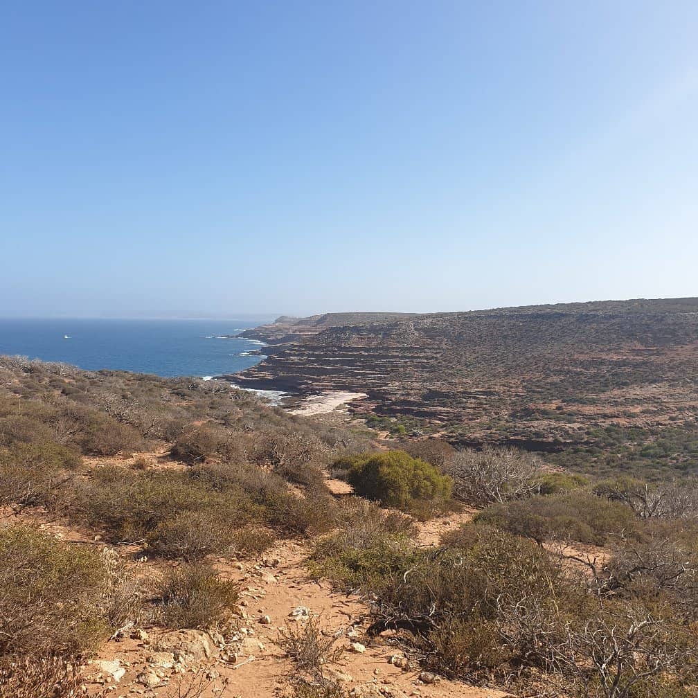 Beach Access Trail