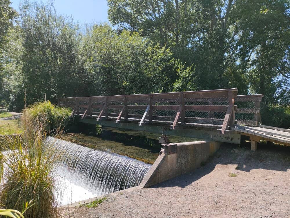 Family Fun & Fishing