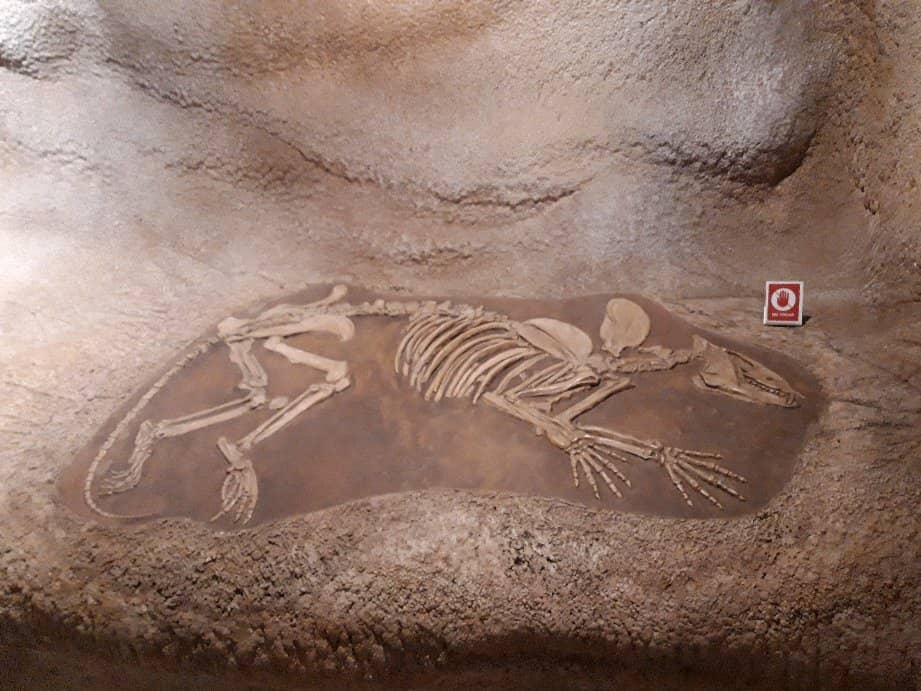 Historic Military Architecture