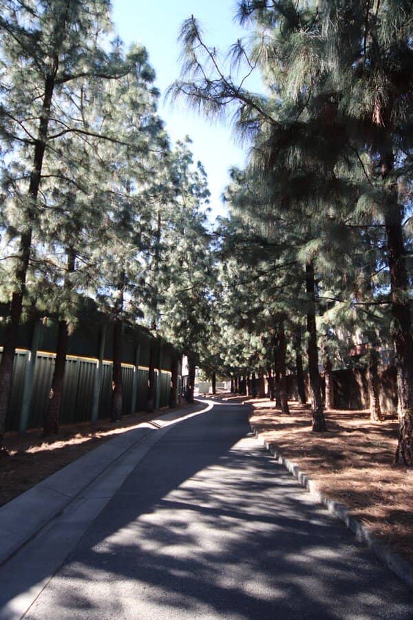 Gold Jersey Giveaway