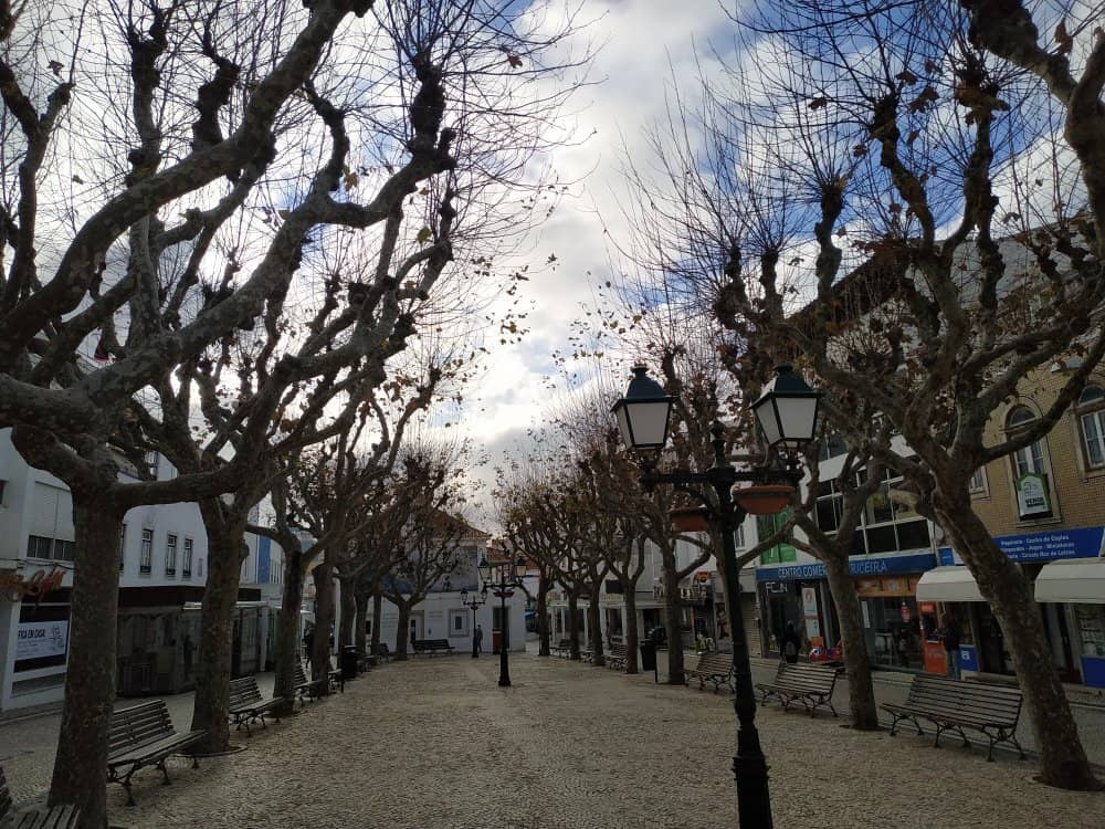 Thursday Night Soccer