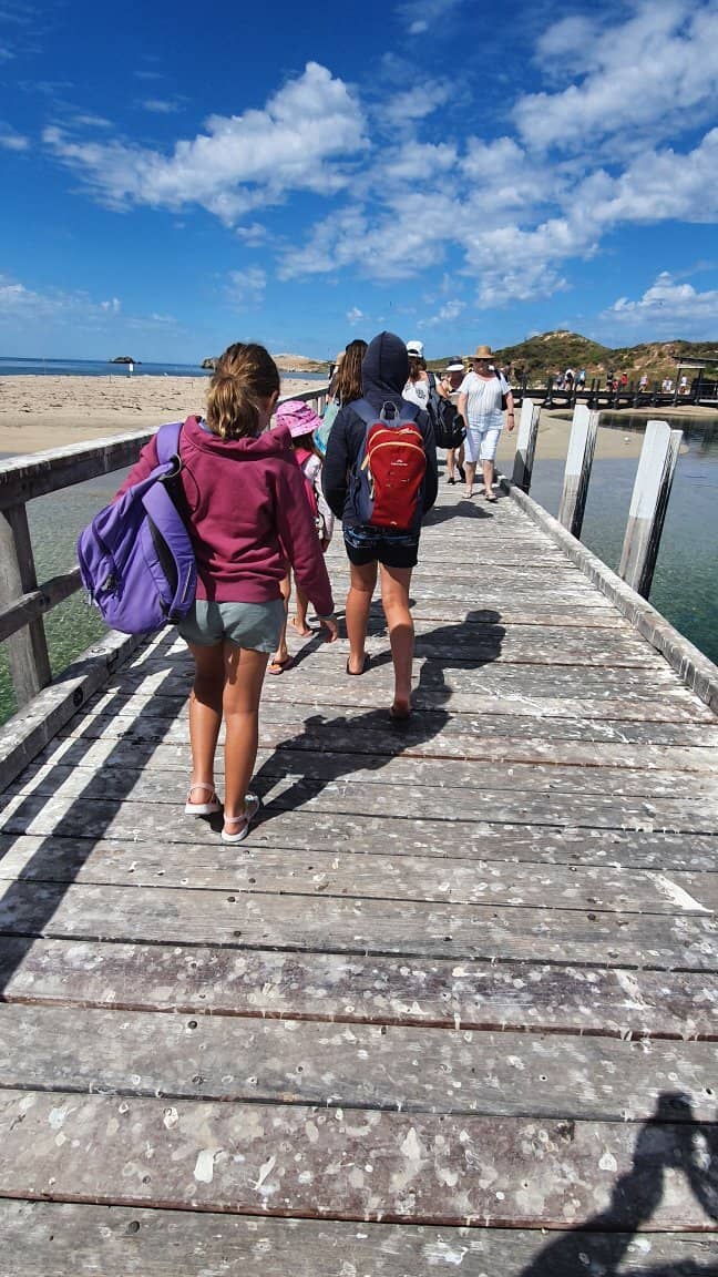 Sandbar Walk to Penguin Island