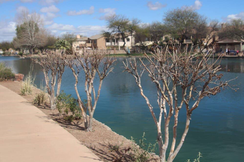 Wildlife Viewing Opportunities