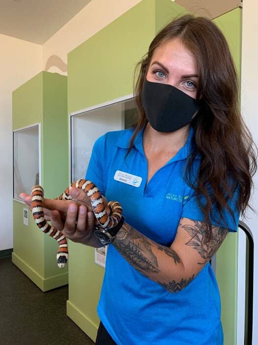 Raptor Demonstrations