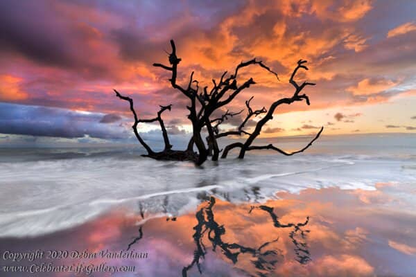 First Friday Art Walk