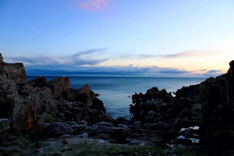 Seal Spotting at Port Oriel