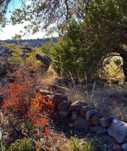 Clayton's Overlook Trail