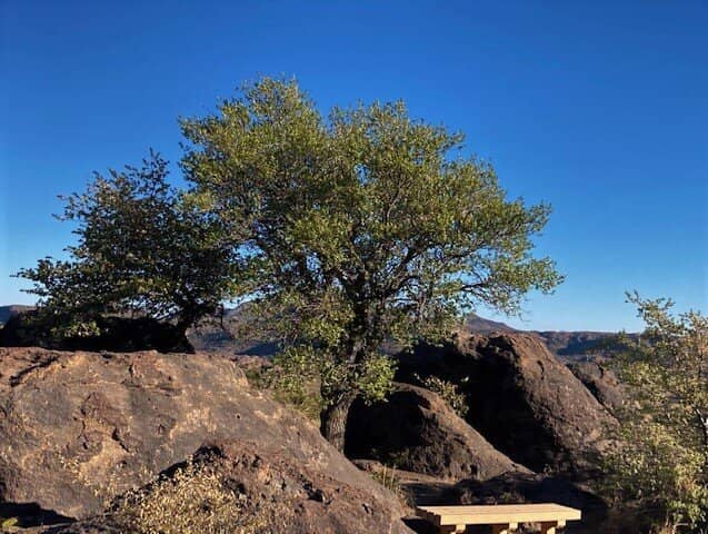 Mining Heritage Exhibit