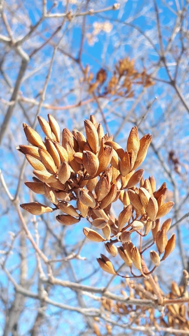 International Markets