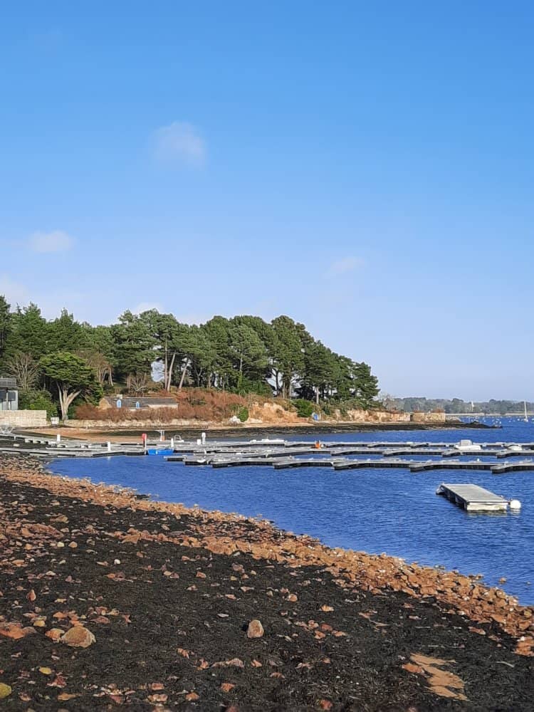 Artistic Inspiration