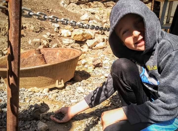 Gold Panning Experience