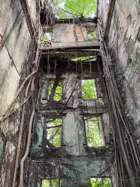 Vertical photo