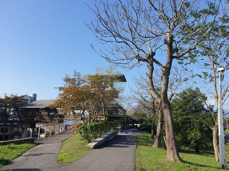 Spacious Lawn & Playground