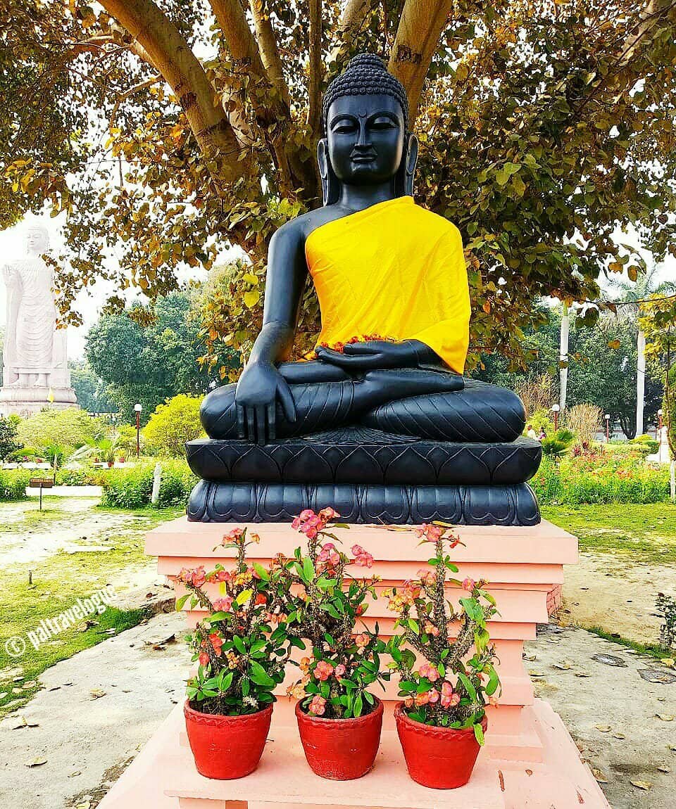 Manicured Gardens & Fountains