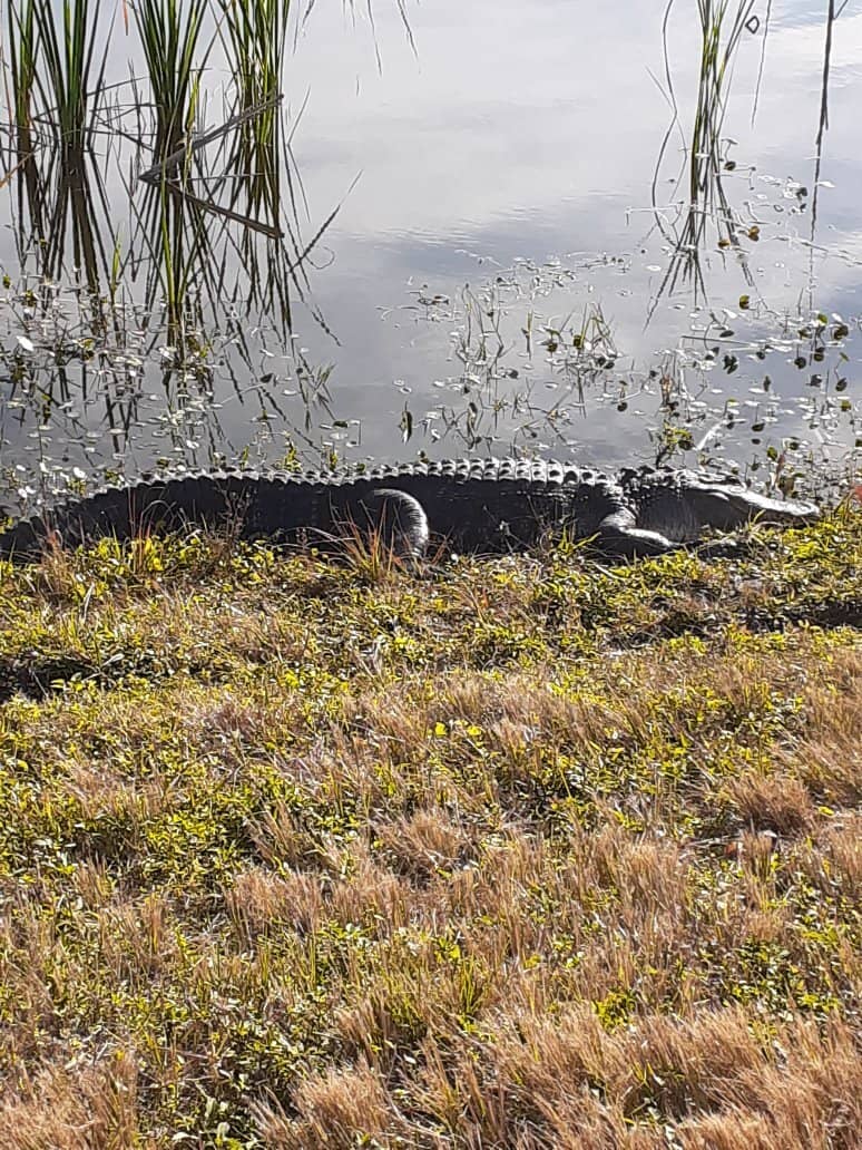 Scenic Walking & Biking Trails