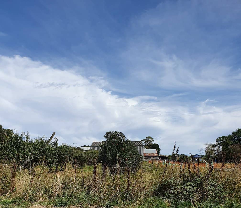 Farm Store & Local Produce
