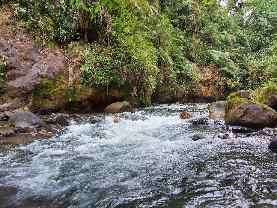 Scenic Mountain Lookout