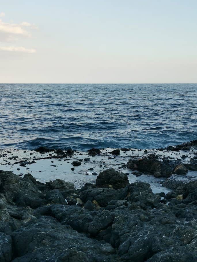 Coastal Vistas
