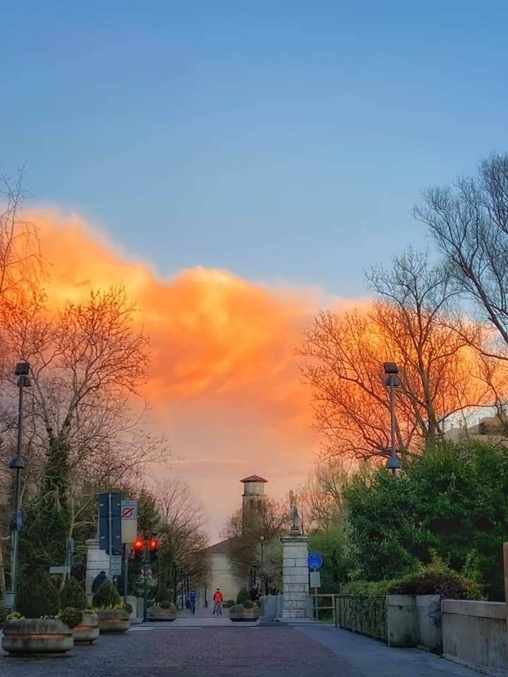 Vertical photo