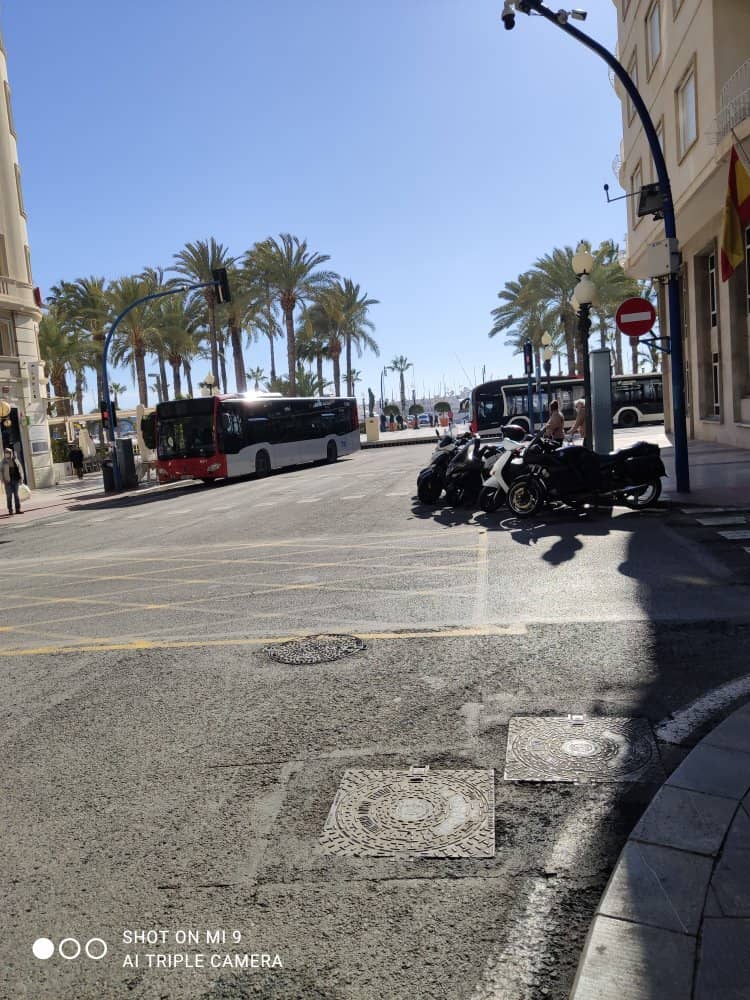 Hand-Laid Mosaic Walkway