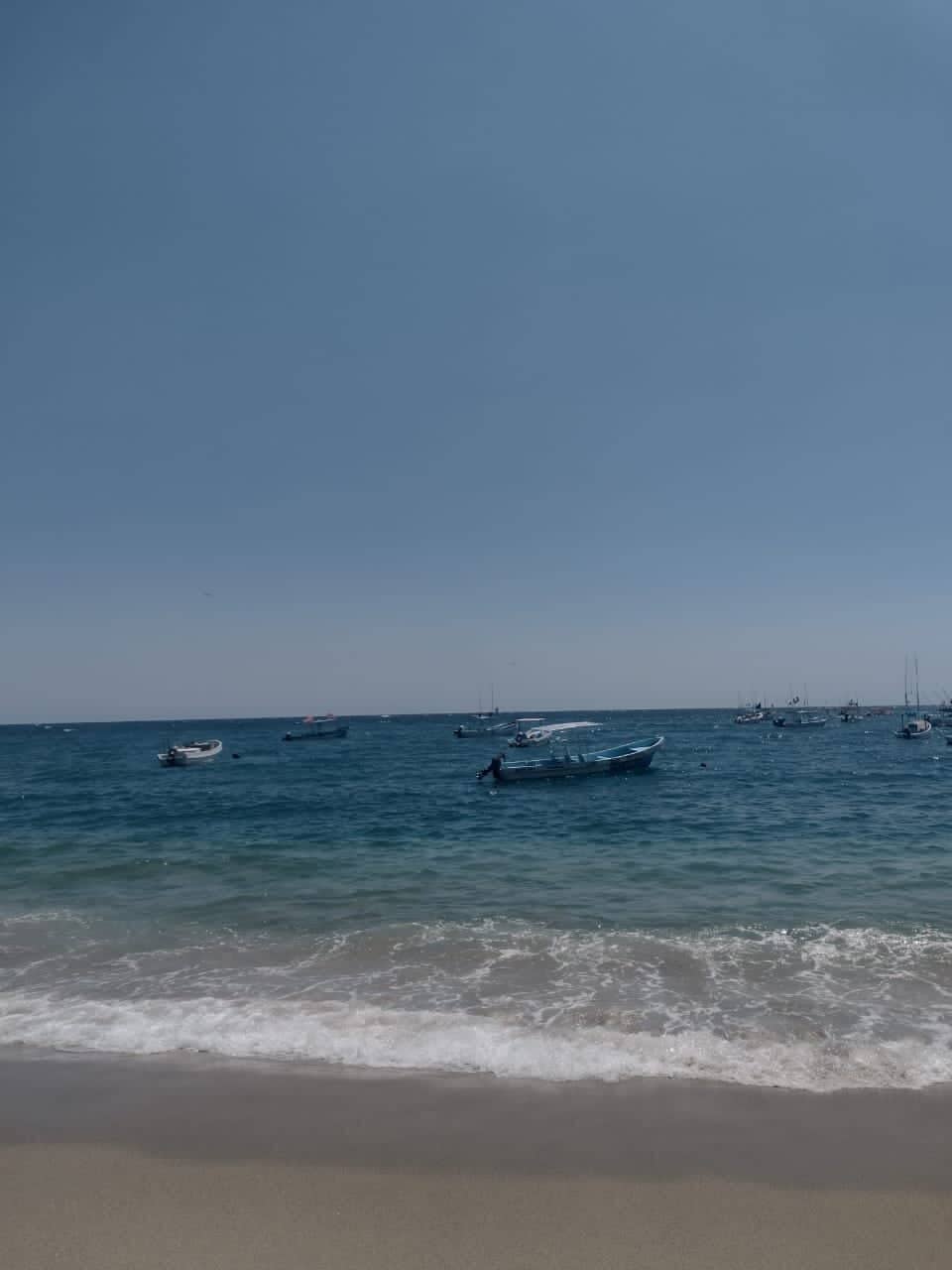 Dolphin Watching Tour