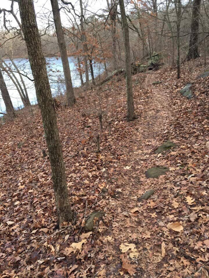 Scenic Lake Views