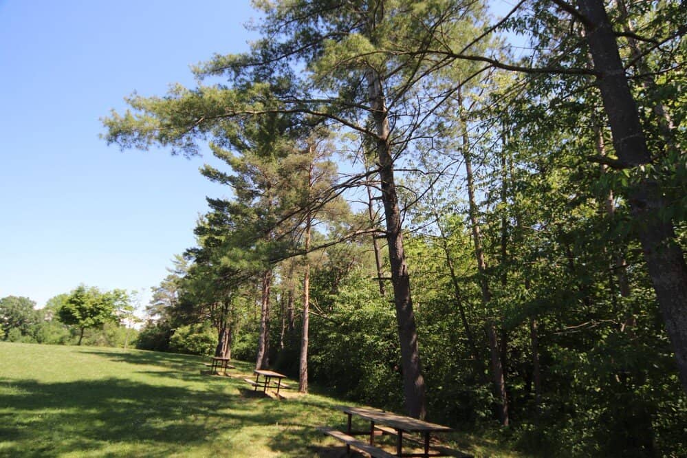 Cross-Country Course