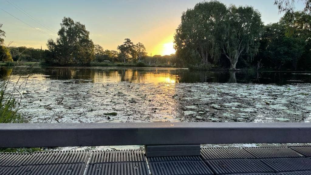 Birdwatching Opportunities