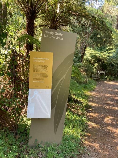 Puffing Billy Railway