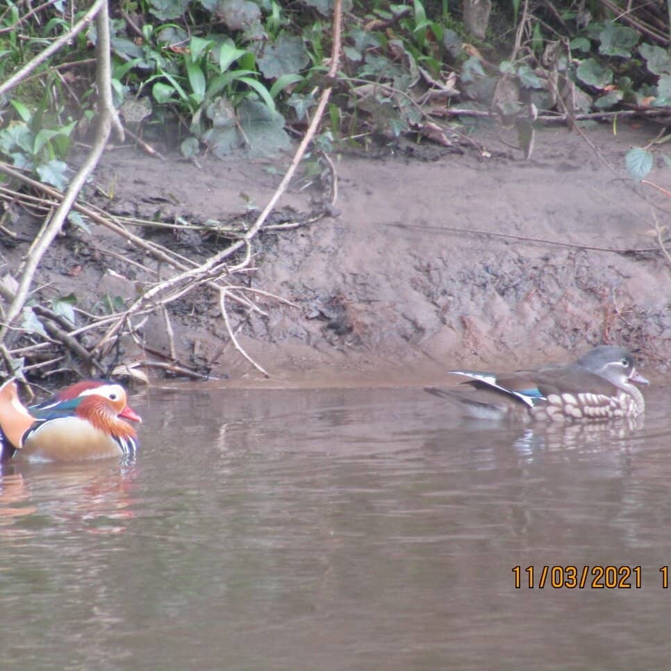 Canal Path Connection