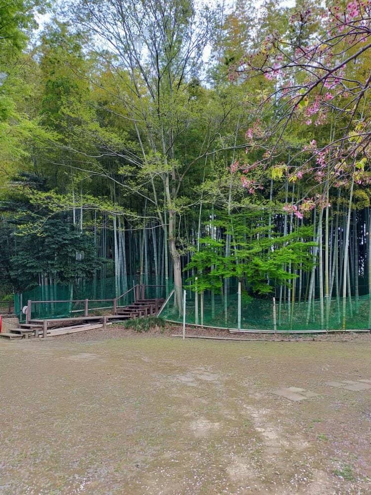 Historical Walking Path
