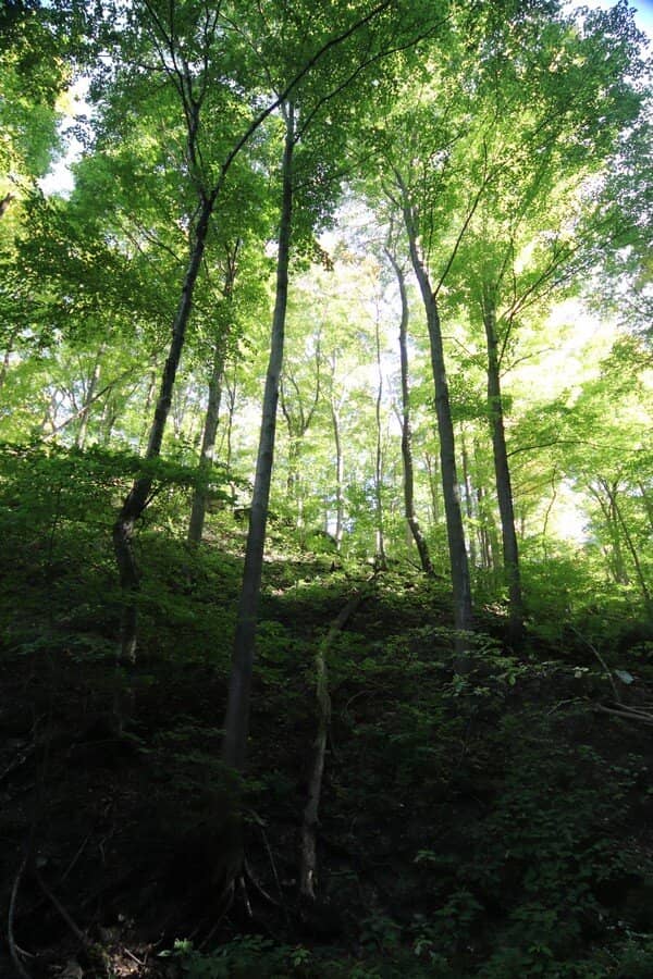 Bruce Trail Access