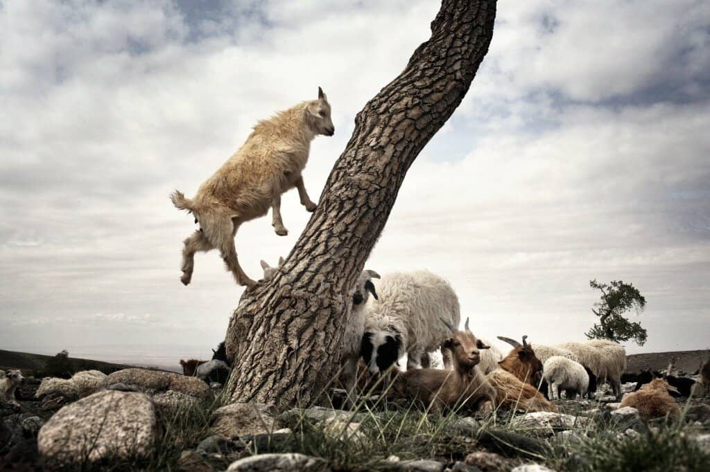 Spacious & Elegant Showroom