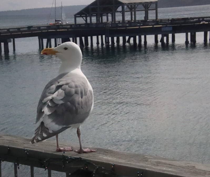 Instagrammable Cocktails and Bites