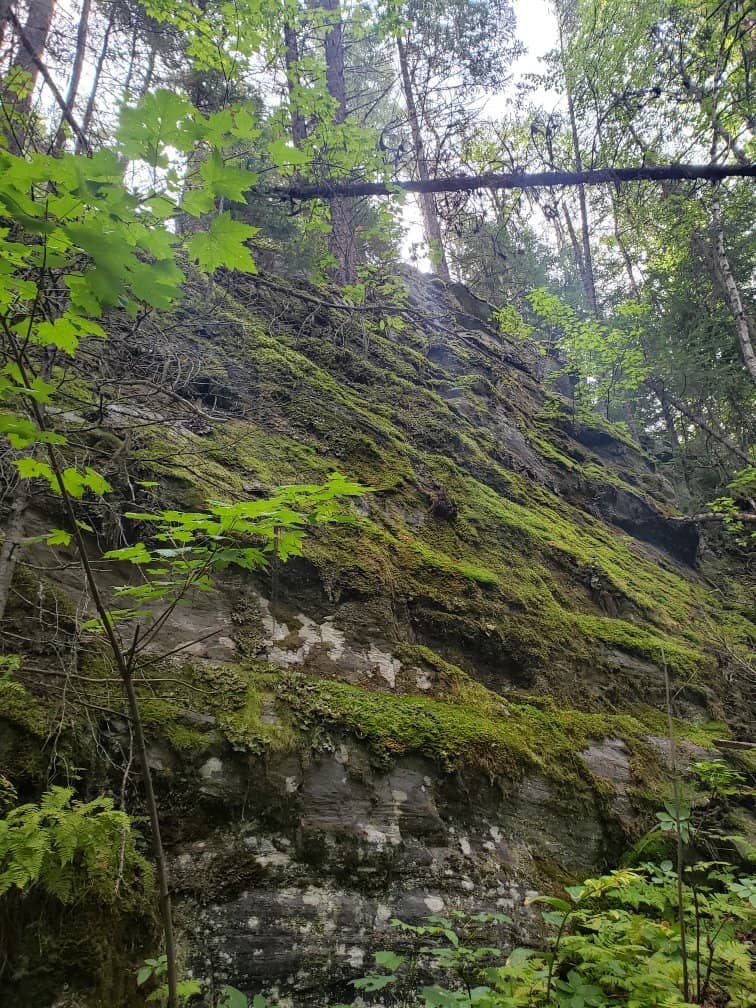 Vertical photo